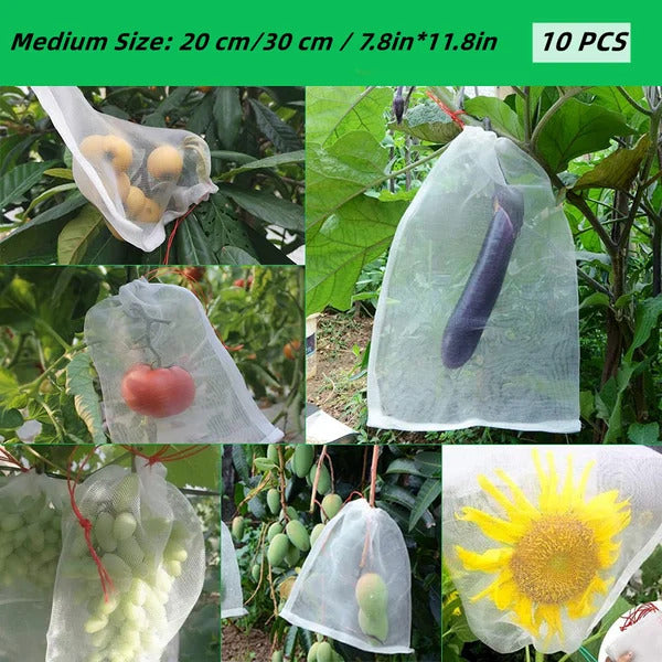 Bağcıklı Meyve Filesi Torbaları