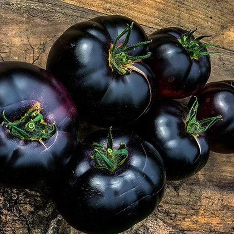 Black Pearl Tomato Seeds.