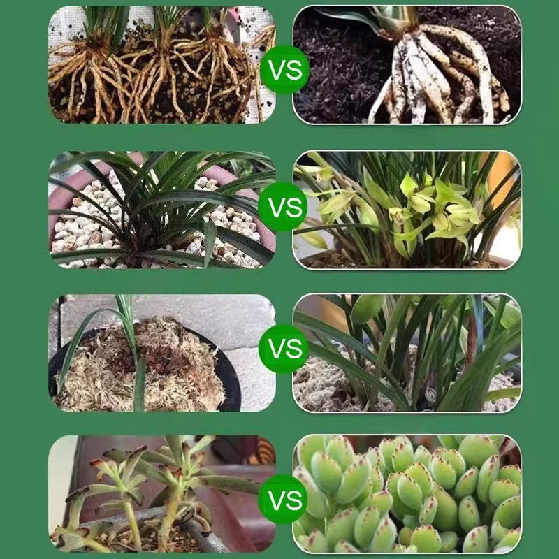 Bitki Besin Çözeltisi • Gardenizi
