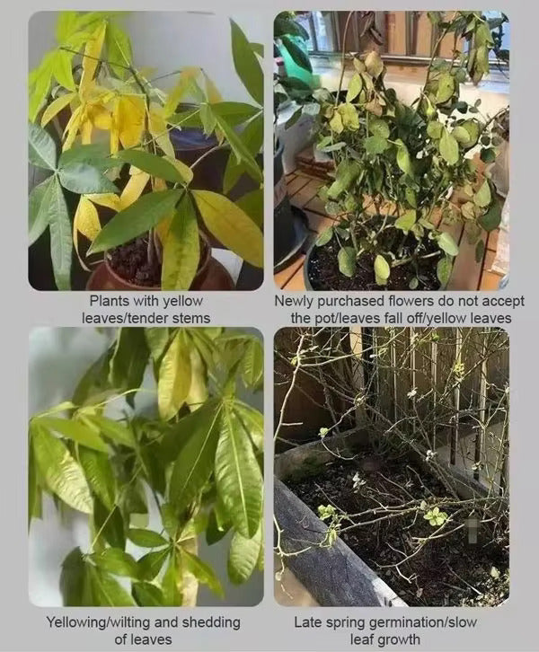 Bitki Besin Çözeltisi • Gardenizi