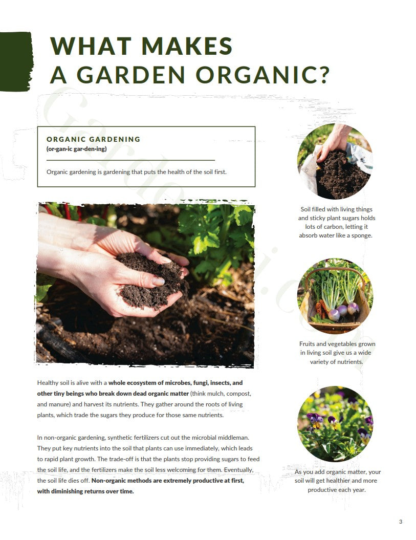 E-kitap - İlk Organik Bahçe Rehberi • Gardenizi