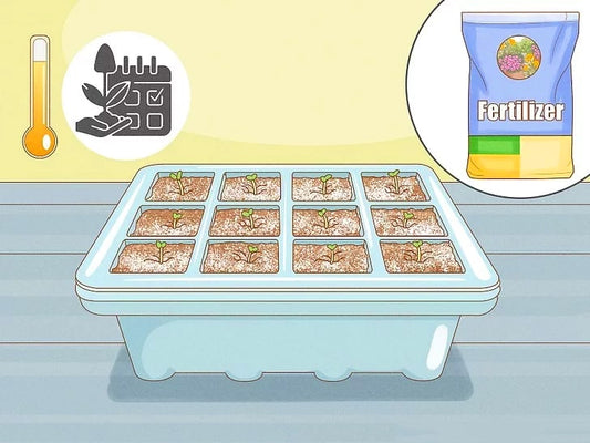 How to Grow Climbing Roses From Seeds