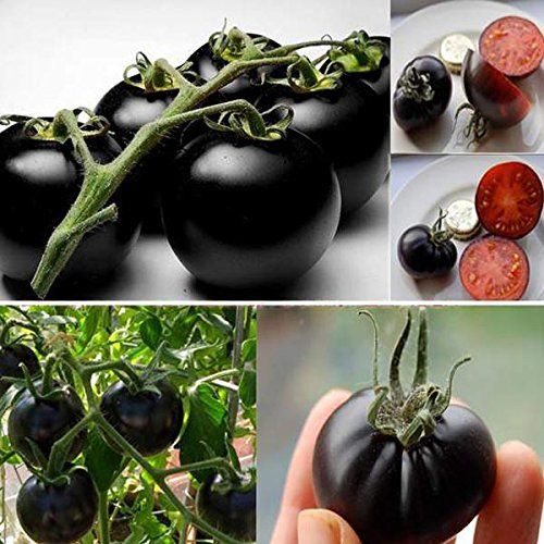 Black Pearl Tomato Seeds.