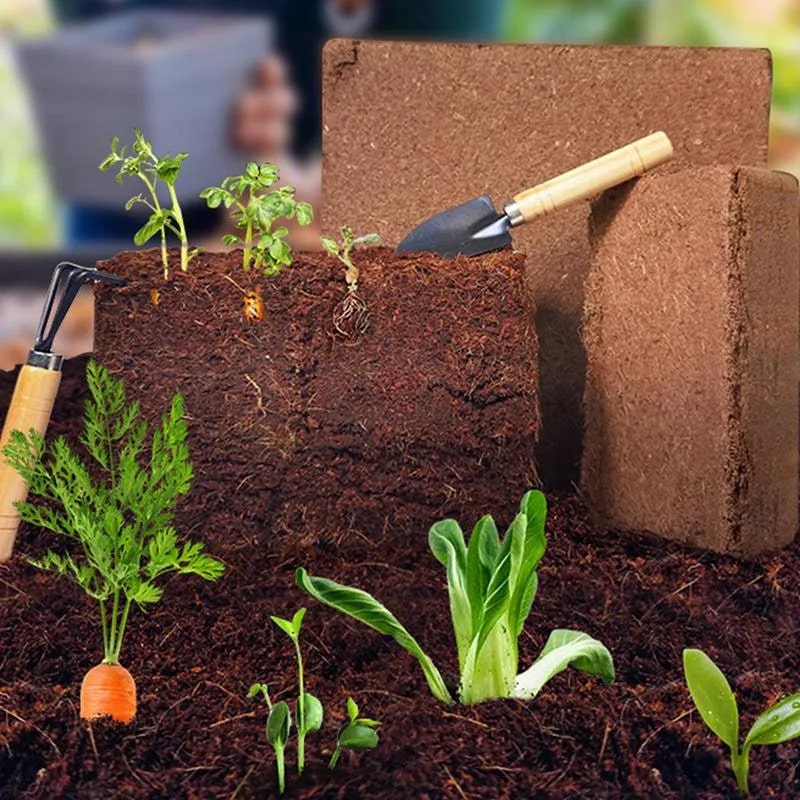 Organik Hindistan Cevizi Lifi • Gardenizi 
