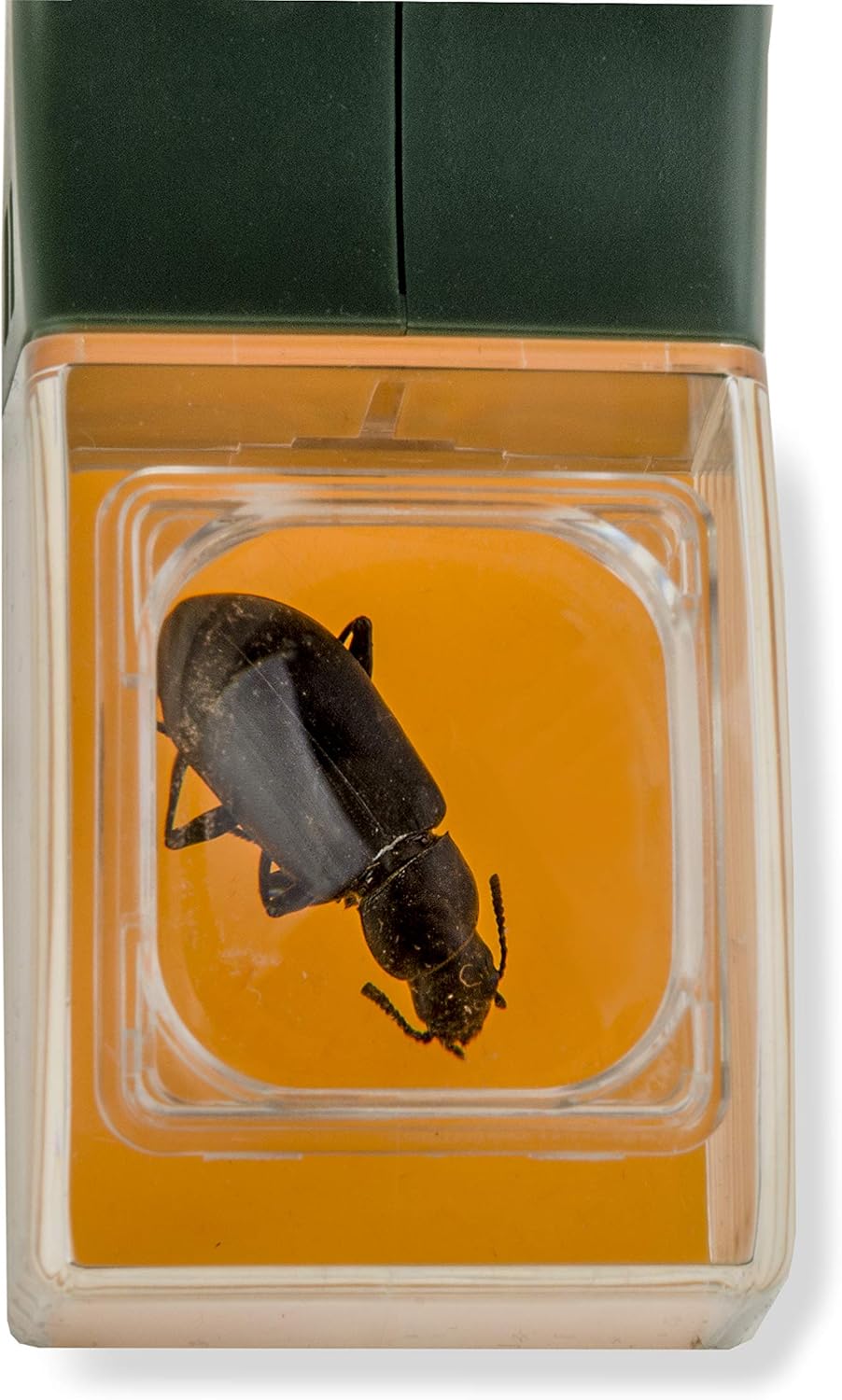BugView Hızlı Çıkarma Böcek Yakalama Aracı • Gardenizi 