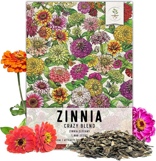 Zinnia Tohumları