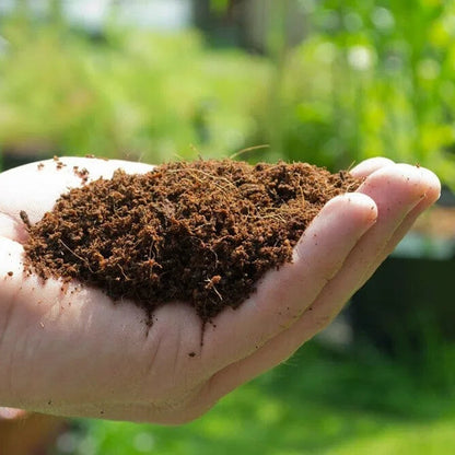 Organik Hindistan Cevizi Lifi • Gardenizi 