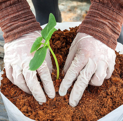 Organik Hindistan Cevizi Lifi • Gardenizi 