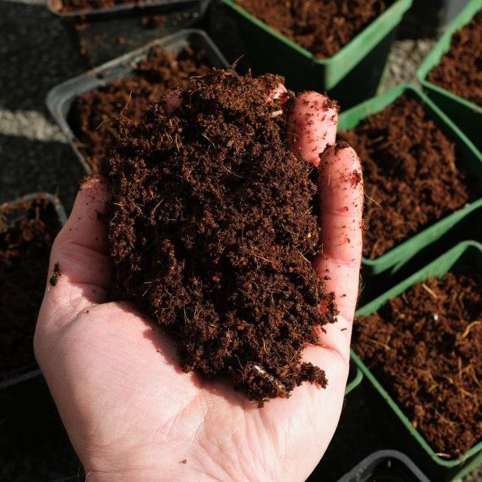 Organik Hindistan Cevizi Lifi • Gardenizi 