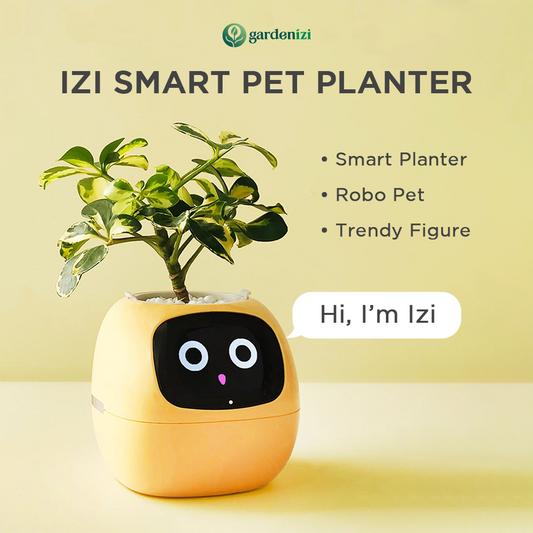 AI Akıllı Saksı | Gardenizi 