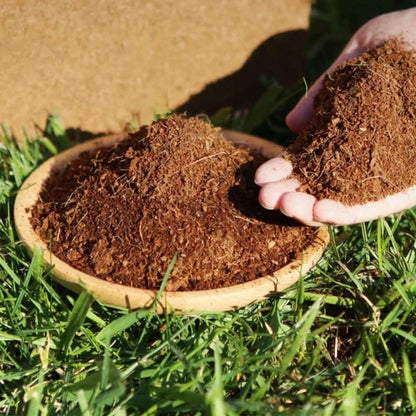 Organik Hindistan Cevizi Lifi • Gardenizi 