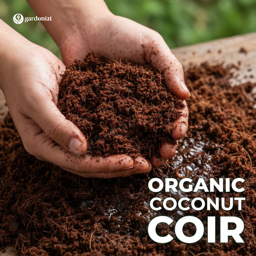 Organic Coconut Coir • Gardenizi