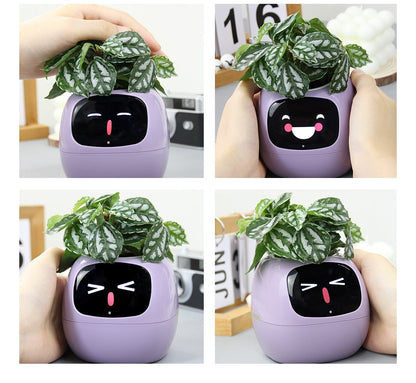 AI Akıllı Saksı | Gardenizi 