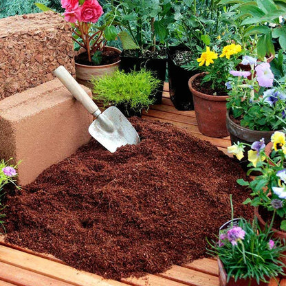Organik Hindistan Cevizi Lifi • Gardenizi 