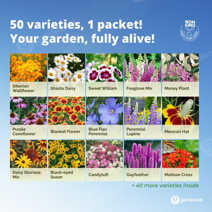 Mixed Wild Flower Seeds  • Gardenizi