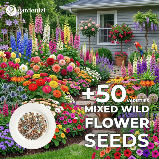 Mixed Wild Flower Seeds  • Gardenizi